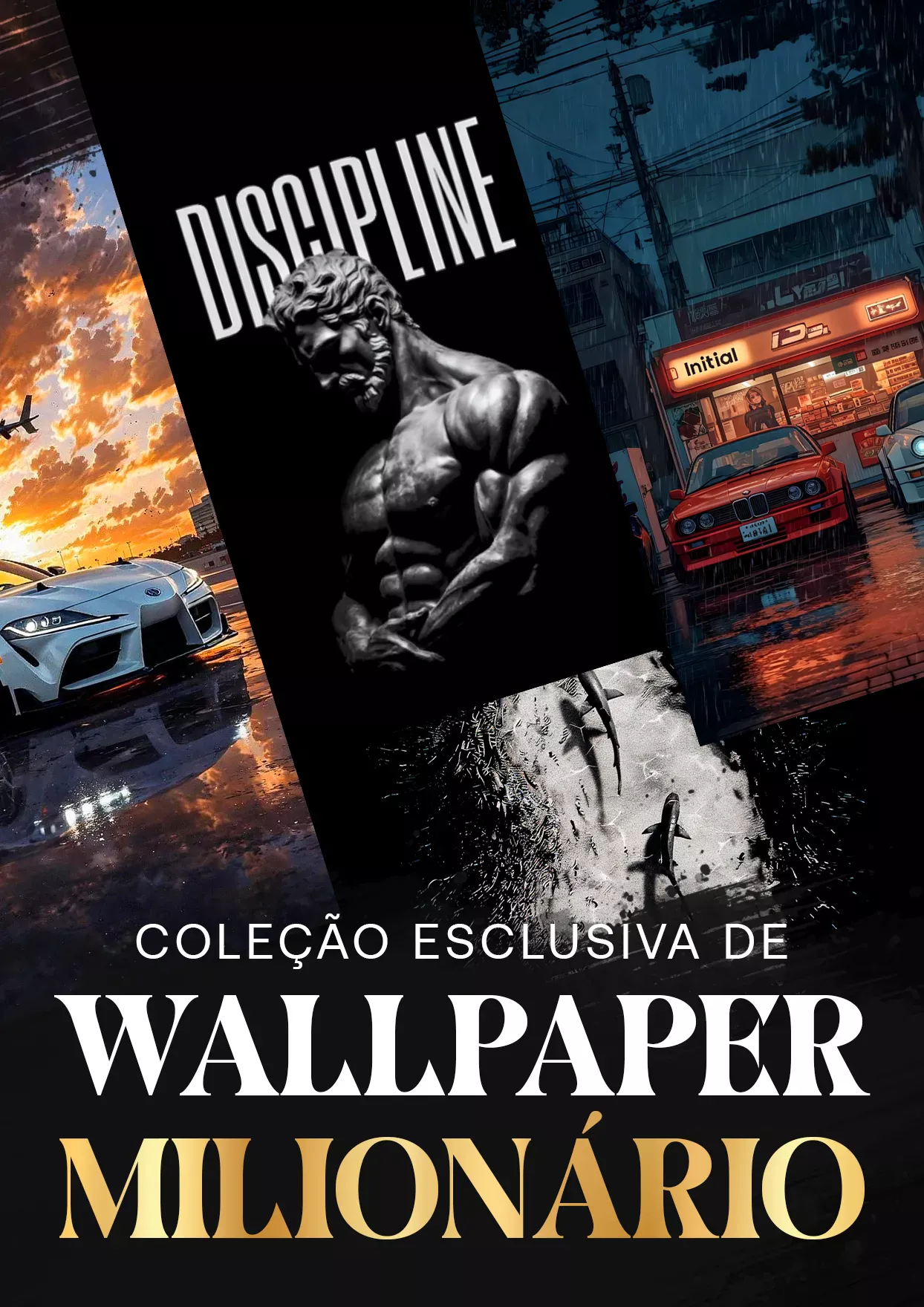 06.webp